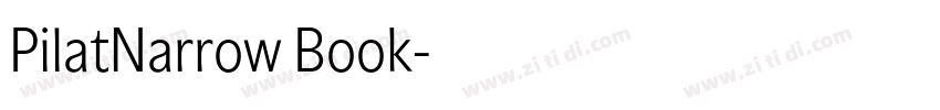 PilatNarrow Book字体转换